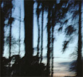 Saite an Saite (a string based compilation)