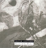 Secrets of the Beehive