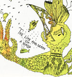 The Life and Death of a Wasp 