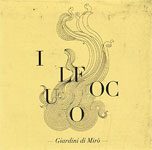 Il fuoco 