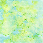 Fragment 36