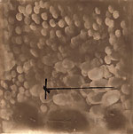 Conduit No. 2